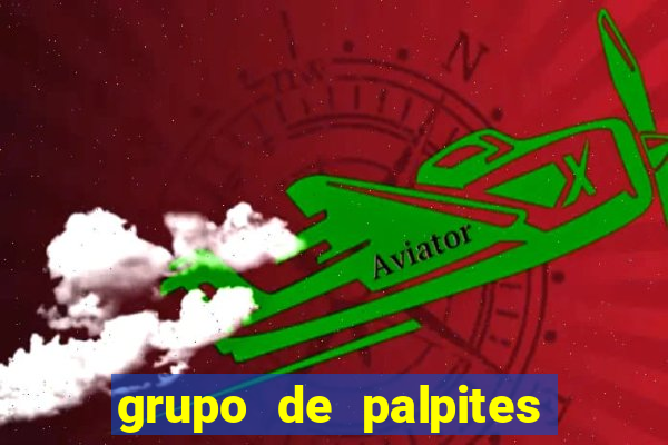 grupo de palpites de futebol whatsapp